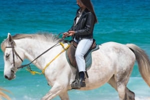 From Lisbon: Horseback Riding on Comporta Beach