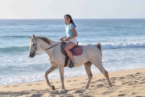 From Lisbon: Horseback Riding on Comporta Beach