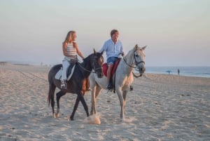 From Lisbon: Horseback Riding on Comporta Beach