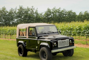 Desde Lisboa: aventura en jeep, cata de vino, tapas y recogida