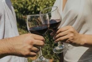 Desde Lisboa: aventura en jeep, cata de vino, tapas y recogida