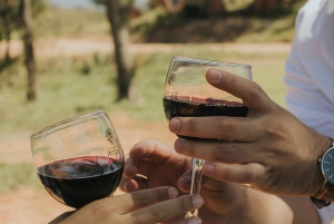 Desde Lisboa: aventura en jeep, cata de vino, tapas y recogida