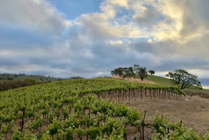 Desde Lisboa: aventura en jeep, cata de vino, tapas y recogida