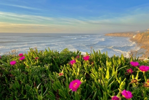 Depuis Lisbonne : Palais de Mafra et Ericeira - Patrimoine et côte portugaise