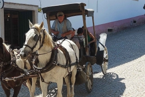 Vanuit Lissabon: Nazaré en Óbidos Privétour in een premium auto