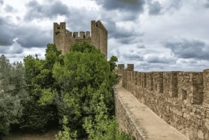 From Lisbon: Nazare Big Waves and Óbidos Guide Day Trip