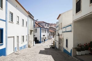 From Lisbon or Cascais: Mafra, Ericeira, and Queluz Day Tour