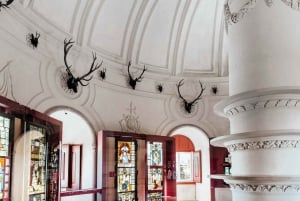 Lisbon: Pena Palace, Moorish Castle, Qta. Regaleira & Sintra