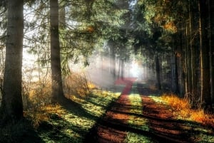 Lisboa: visita ao Palácio da Pena, Regaleira, Cabo da Roca e Cascais