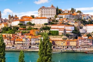 From Lisbon: Porto Highlights Day Trip