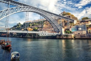 From Lisbon: Porto Private Full-Day Tour