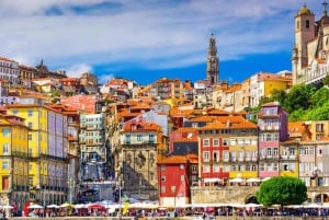 From Lisbon: Porto Private Full-Day Tour