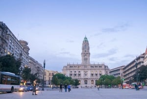 From Lisbon: Porto Private Full-Day Tour