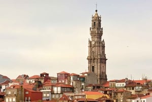 From Lisbon: Porto Private Full-Day Tour