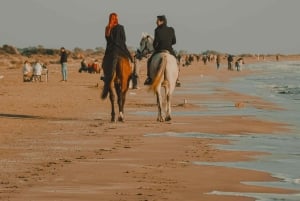 Vanuit Lissabon: privé-paardrijtocht, wijn en tapas + ophalen