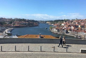 From Lisbon: Private Porto Sightseeing Tour