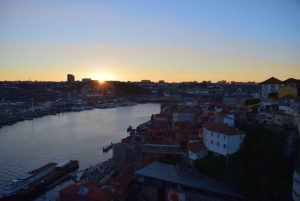 From Lisbon: Private Porto Sightseeing Tour