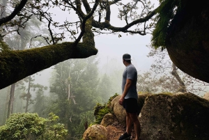 From Lisbon:private tour to Sintra, Cabo da Roca, & Cascais