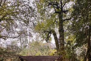 From Lisbon:private tour to Sintra, Cabo da Roca, & Cascais