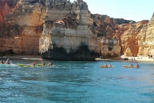 Da Lisbona: Trasferimento privato a Lagos/Portimão/Carvoeiro