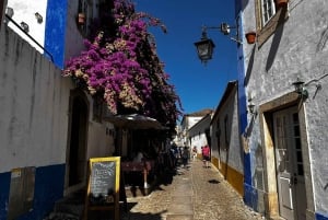 From Lisbon: Private Transfer to Porto with City Stops