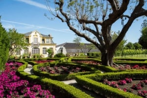 Fra Lisboa: Serra da Arrábida, Sesimbra og Vinhos de Setúbal