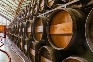 Fra Lisboa: Serra da Arrábida, Sesimbra og Vinhos de Setúbal