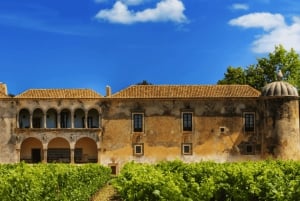 Fra Lisboa: Serra da Arrábida, Sesimbra og Vinhos de Setúbal