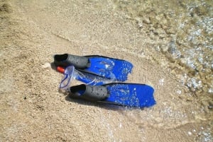 From Lisbon: Sesimbra Wild Beach Tour