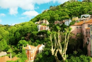 From Lisbon: Sintra and Belém - Small Group Tour with Ticket