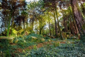 From Lisbon: Sintra and Belém - Small Group Tour with Ticket