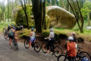 From Lisbon: Sintra and Cascais E-Bike Tour