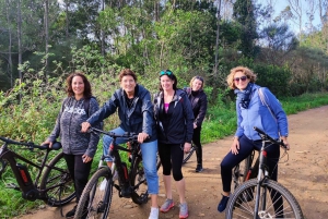 From Lisbon: Sintra and Cascais E-Bike Tour