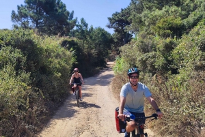 From Lisbon: Sintra and Cascais E-Bike Tour