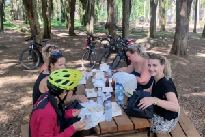 From Lisbon: Sintra and Cascais E-Bike Tour