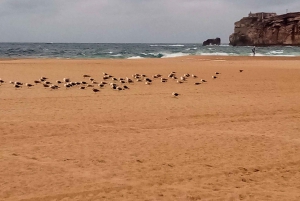 Z Lizbony: Nazare i Sintra - wycieczka prywatna