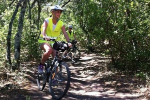 From Lisbon: Sintra Bike Tour With Lunch and 2 Attractions