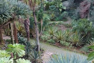 Sintra-Roca-Cascais: Private Guided Tour with a Local Expert