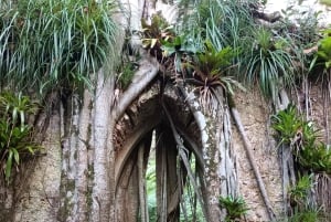 Sintra-Roca-Cascais: Private Guided Tour with a Local Expert