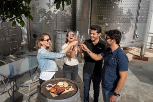 Von Lissabon aus: Sintra & Pena Palace Tagestour mit Weinverkostung