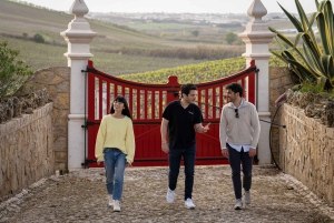 Von Lissabon aus: Sintra & Pena Palace Tagestour mit Weinverkostung