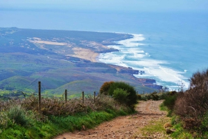 De Lisboa: Sintra, Pena, Regaleira, Cabo da Roca e Cascais