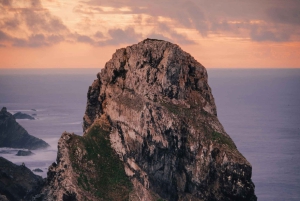 De Lisboa: Sintra, Pena, Regaleira, Cabo da Roca e Cascais