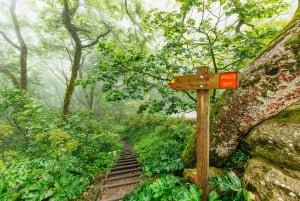 Lisbon: Sintra Tour Regaleira + Pena Gardens Ticket/Guide