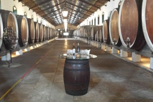 Fra Lisboa: Sintra Wine Experience