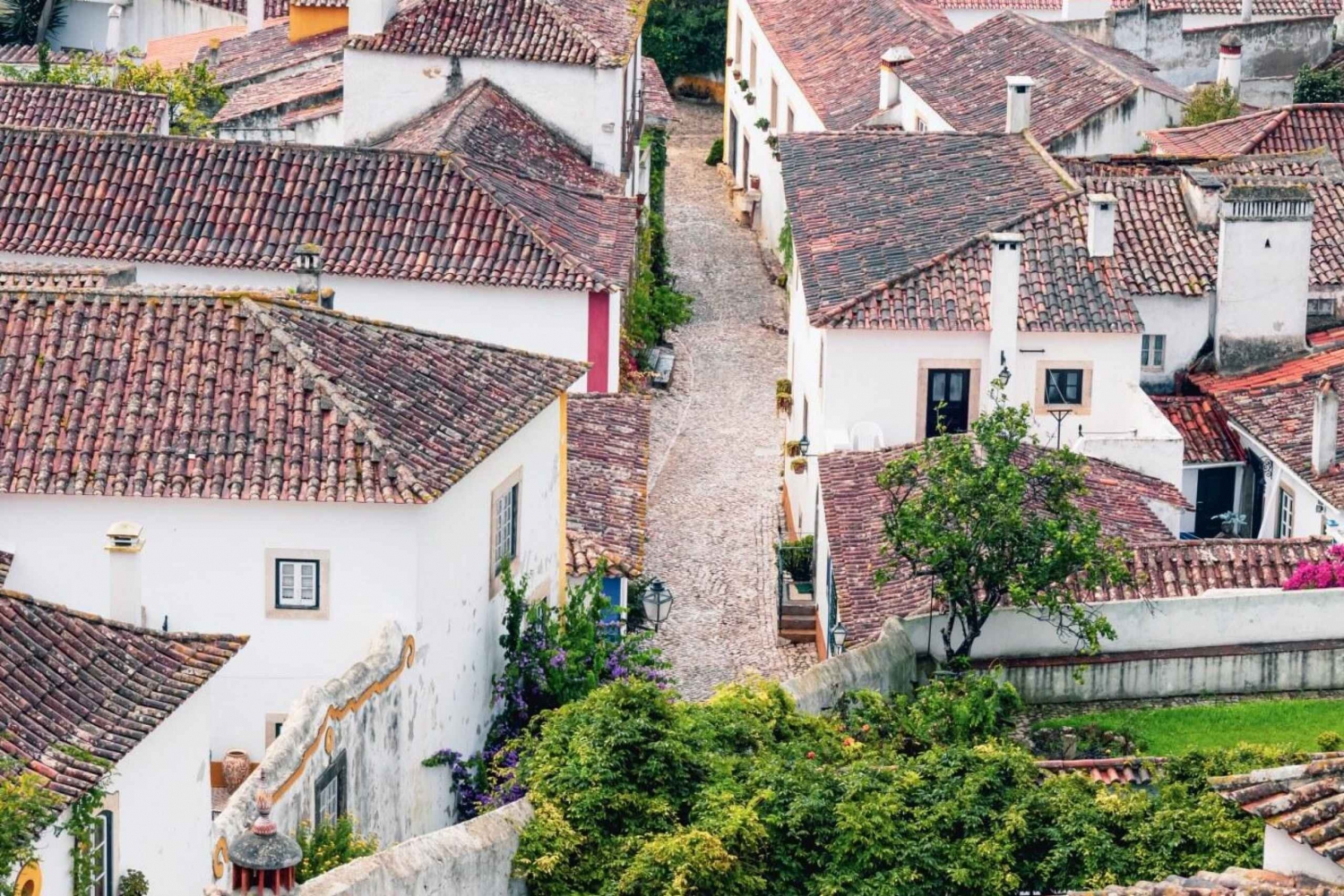 Da Lisbona: Trasferimento a Porto con fermate fino a 3 città