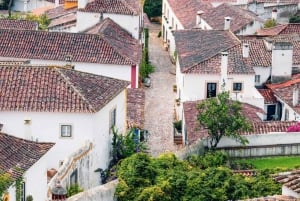 Da Lisbona: Trasferimento a Porto con fermate fino a 3 città