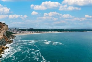 Da Lisbona: Trasferimento a Porto con fermate fino a 3 città