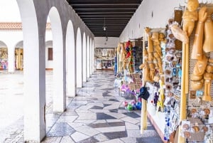 Da Lisbona: Trasferimento a Porto con fermate fino a 3 città