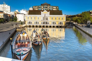 Da Lisbona: Trasferimento a Porto con fermate fino a 3 città